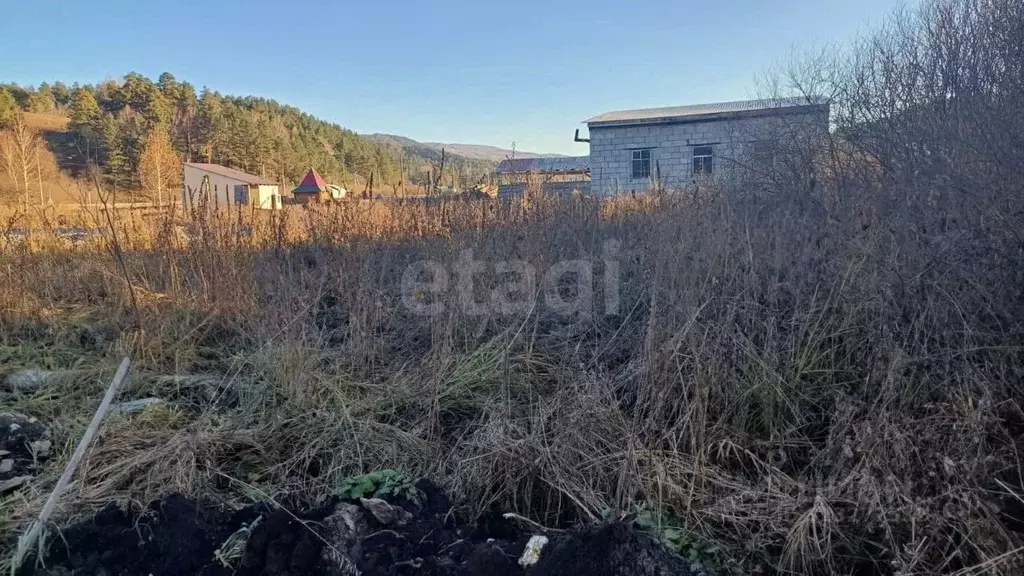 Участок в Алтай, Майминский район, с. Кызыл-Озек ул. Малиновая, 49 ... - Фото 1