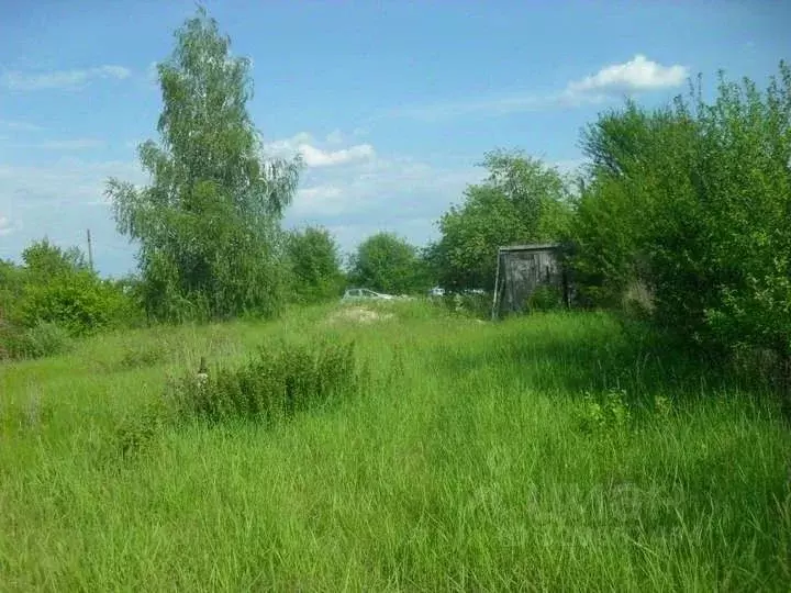 Участок в Воронежская область, Воронеж Строитель СНТ, ул. 14-я, 184 ... - Фото 1