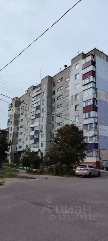 2-к кв. Курская область, Курск Магистральный проезд, 5 (46.0 м) - Фото 1