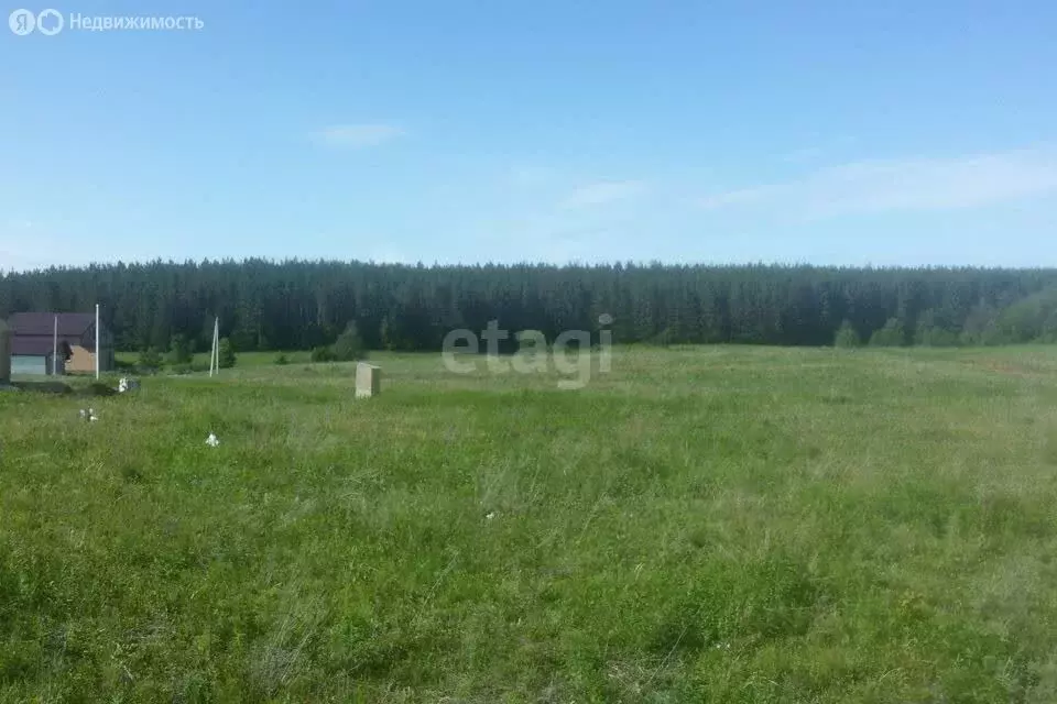 Участок в Тукаевский район, деревня Азьмушкино (8 м) - Фото 1