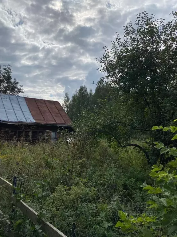 Участок в Новосибирская область, Новосибирск Аэрофлот-1 СНТ,  (10.0 ... - Фото 1