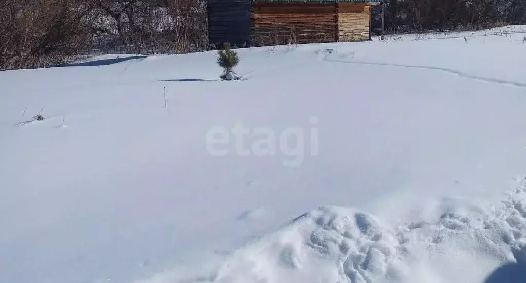 Участок в Алтайский край, Белокуриха ул. Грибная (8.9 сот.) - Фото 1