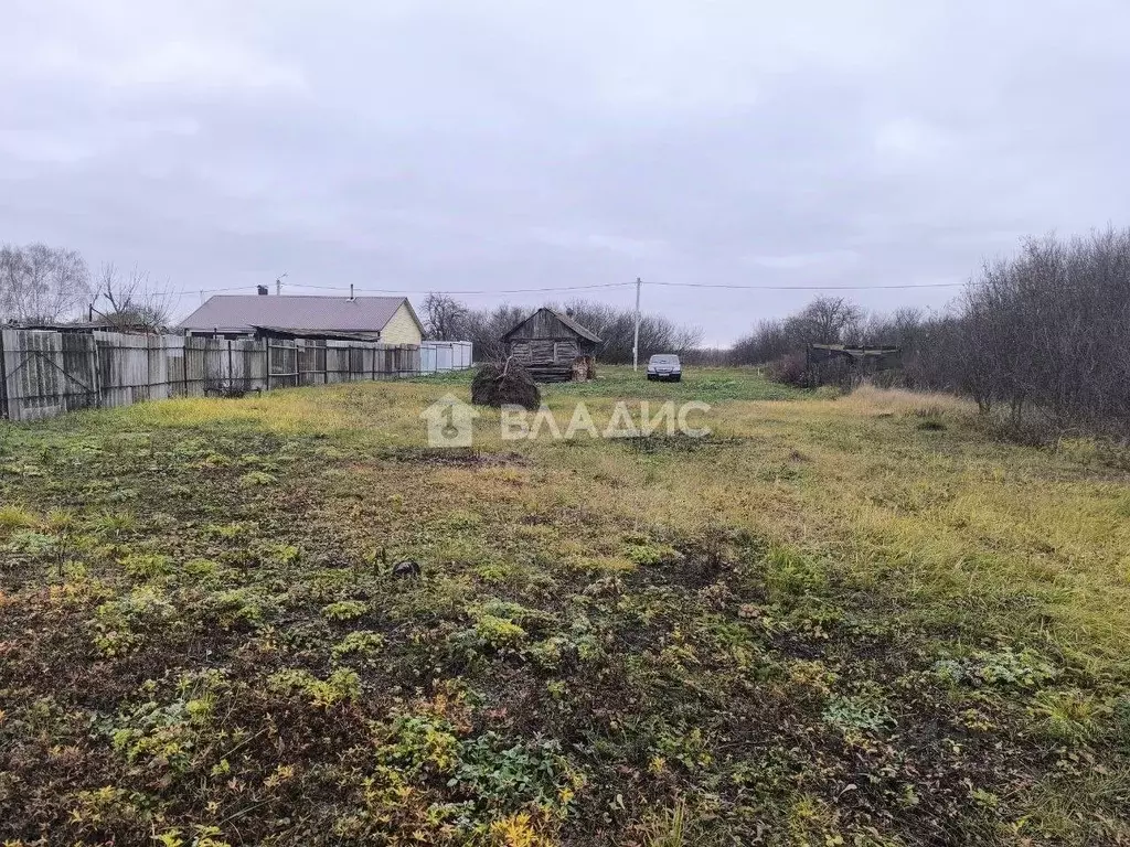 Участок в Воронежская область, Рамонский район, Карачунское с/пос, с. ... - Фото 1