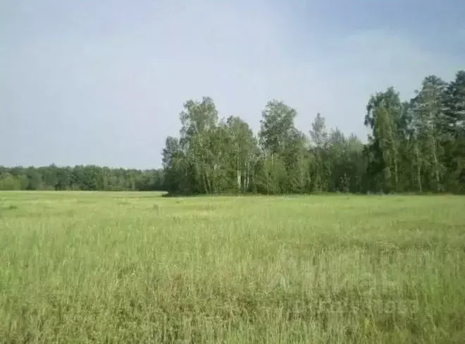 Участок в Самарская область, Красный Яр с/пос, пос. Кириллинский ул. ... - Фото 1