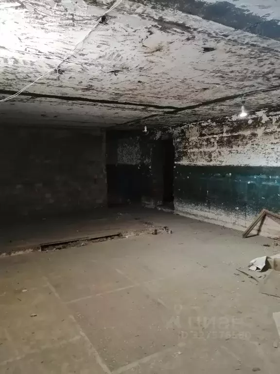 Помещение свободного назначения в Омская область, Омск Привокзальный ... - Фото 1