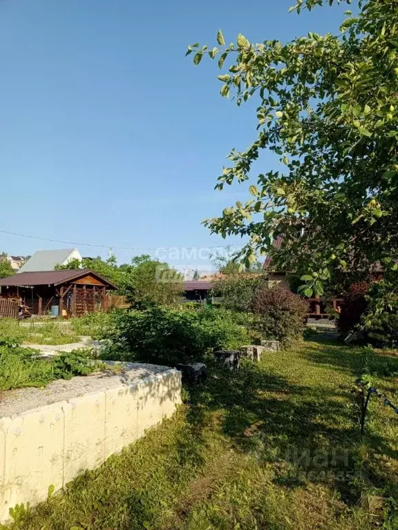 Участок в Алтайский край, Белокуриха Кольцевая ул., 2/1 (7.0 сот.) - Фото 2