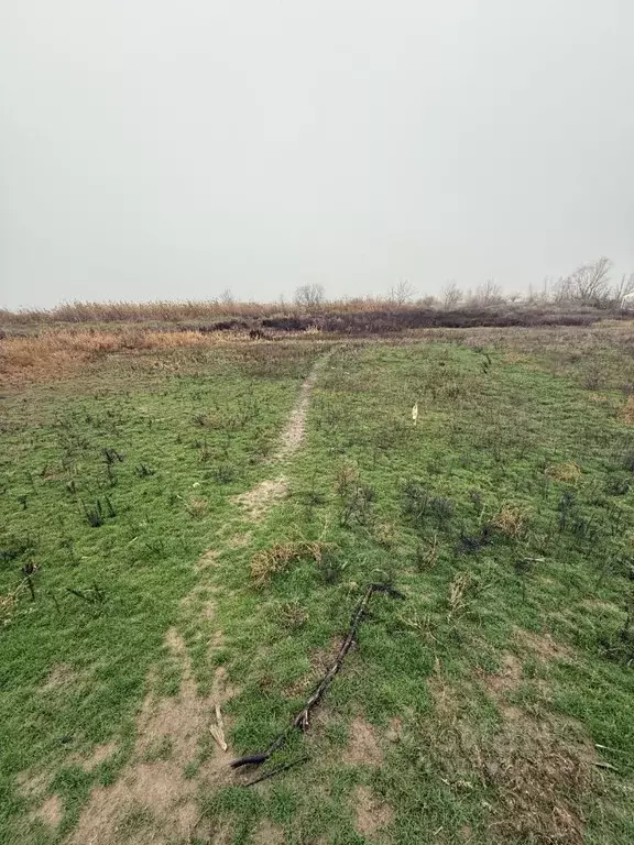 Участок в Волгоградская область, Среднеахтубинский район, Куйбышевское ... - Фото 2