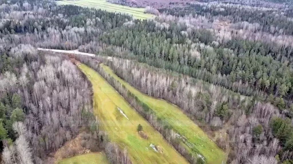 Участок в Ленинградская область, Приозерский район, Мельниковское ... - Фото 1