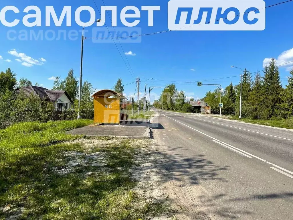 Участок в Московская область, Шатура муниципальный округ, д. Лузгарино ... - Фото 2