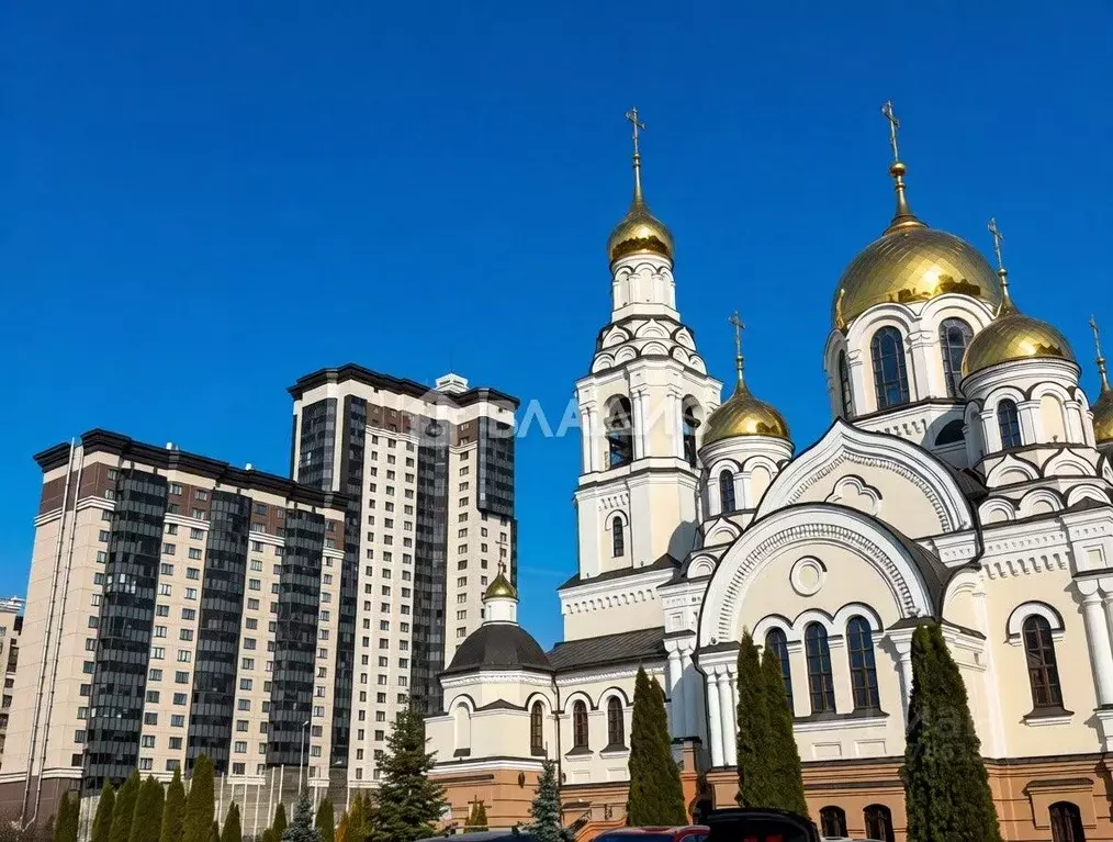 2-к кв. Воронежская область, Воронеж Московский просп., 120 (56.4 м) - Фото 1