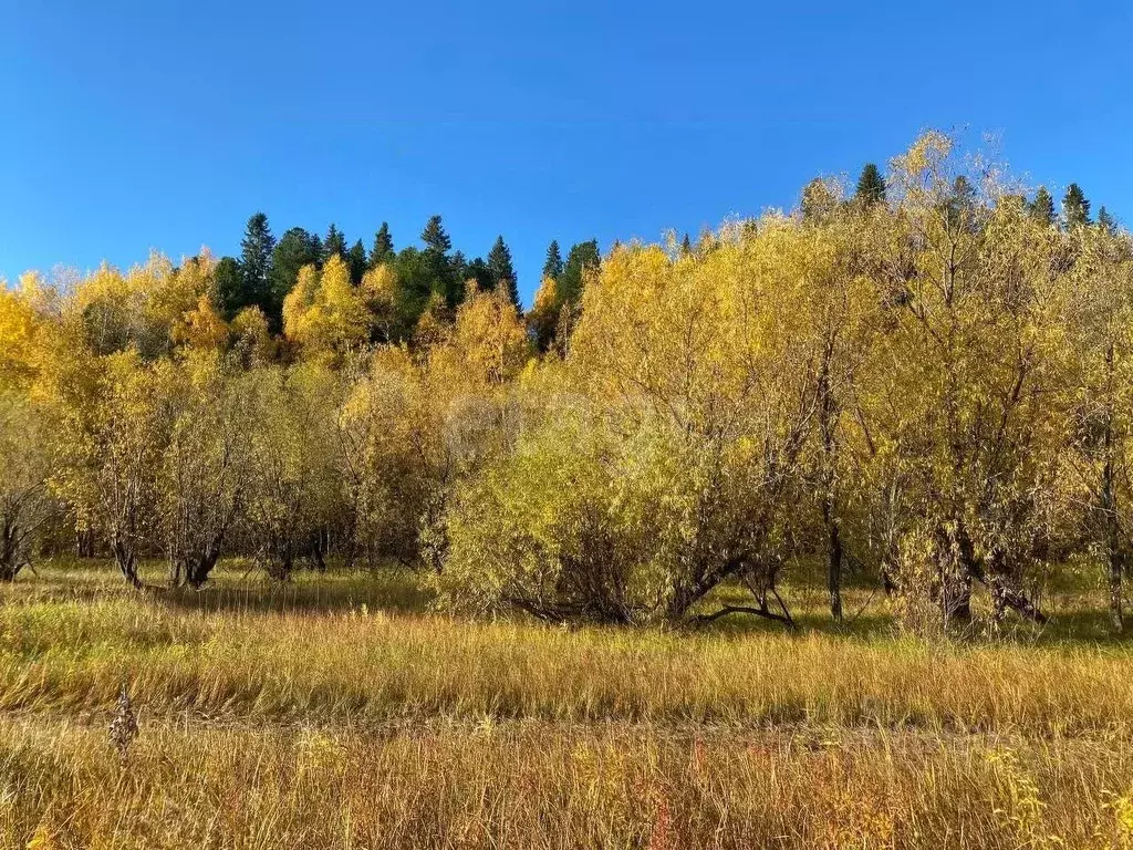 Участок в Ханты-Мансийский АО, Ханты-Мансийск  (5.2 сот.) - Фото 1