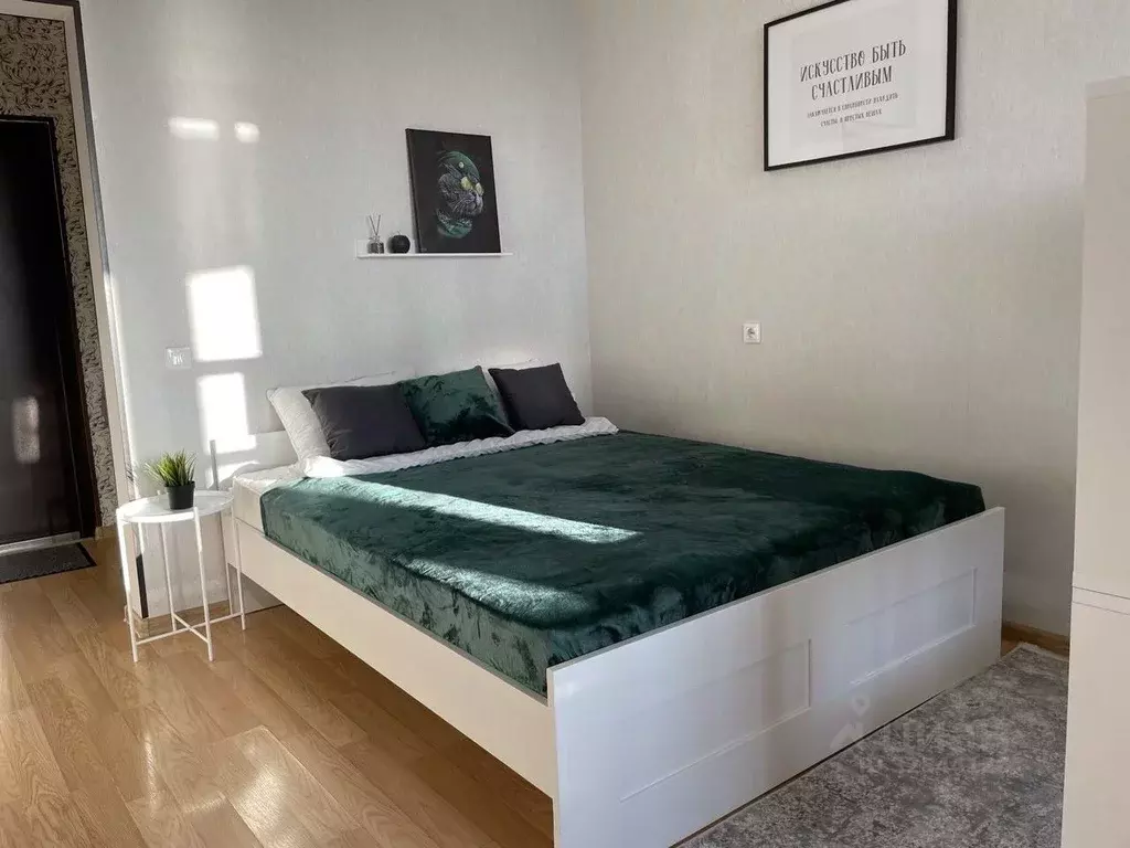 Студия Новосибирская область, Новосибирск Рябиновая ул., 10/1 (30.0 м) - Фото 1