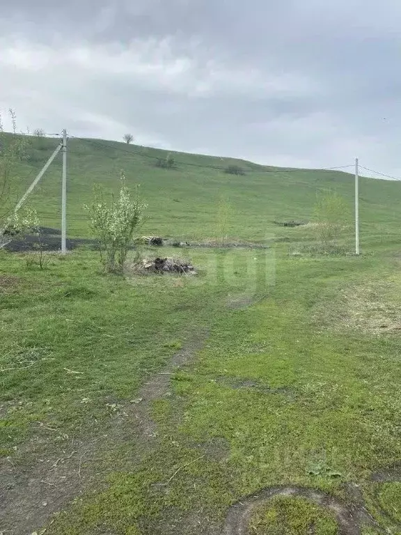 Участок в Алтайский край, Красногорский район, с. Усть-Иша ул. Мира, ... - Фото 1