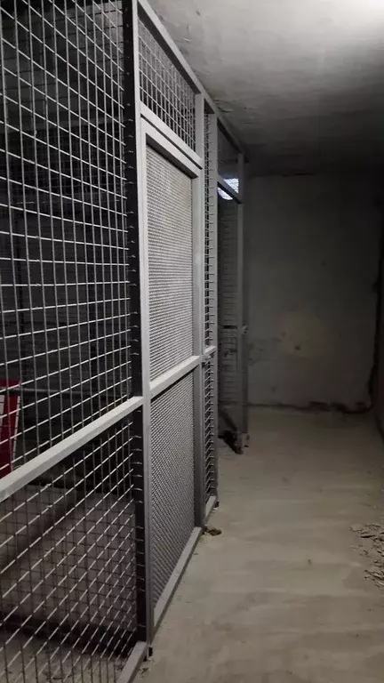 Склад в Ленинградская область, Кингисепп ул. Десантника Александрова, ... - Фото 1