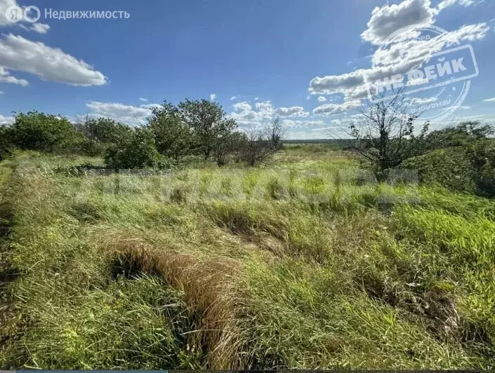 Участок в Грушевское сельское поселение, садоводческое товарищество ... - Фото 2
