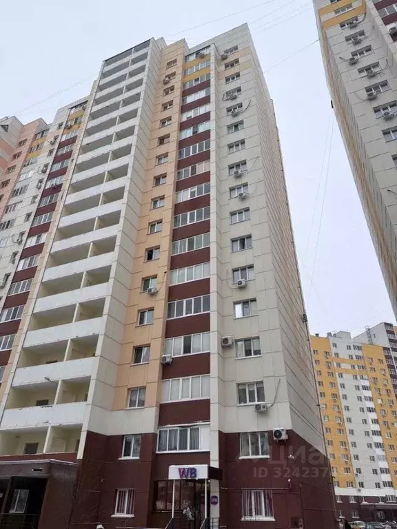 1-к кв. Оренбургская область, Оренбург Транспортная ул., 16/2 (33.5 м) - Фото 1