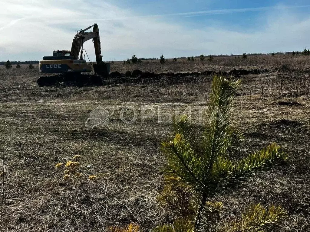 Участок в Тюменская область, Вагайский муниципальный округ, д. Елань ... - Фото 2