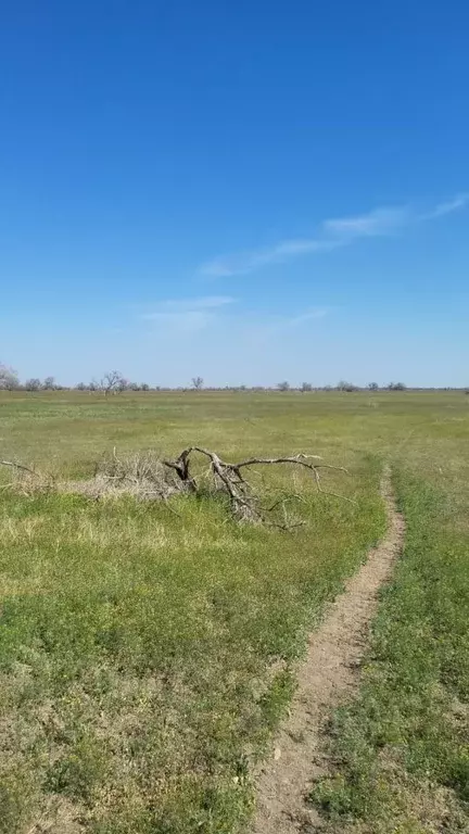 Участок в Астраханская область, Наримановский район, пос. Караагаш  ... - Фото 2