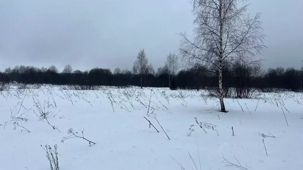 Участок в Московская область, Истра ул. Ленина, Река Истра (6.56 сот.) - Фото 1