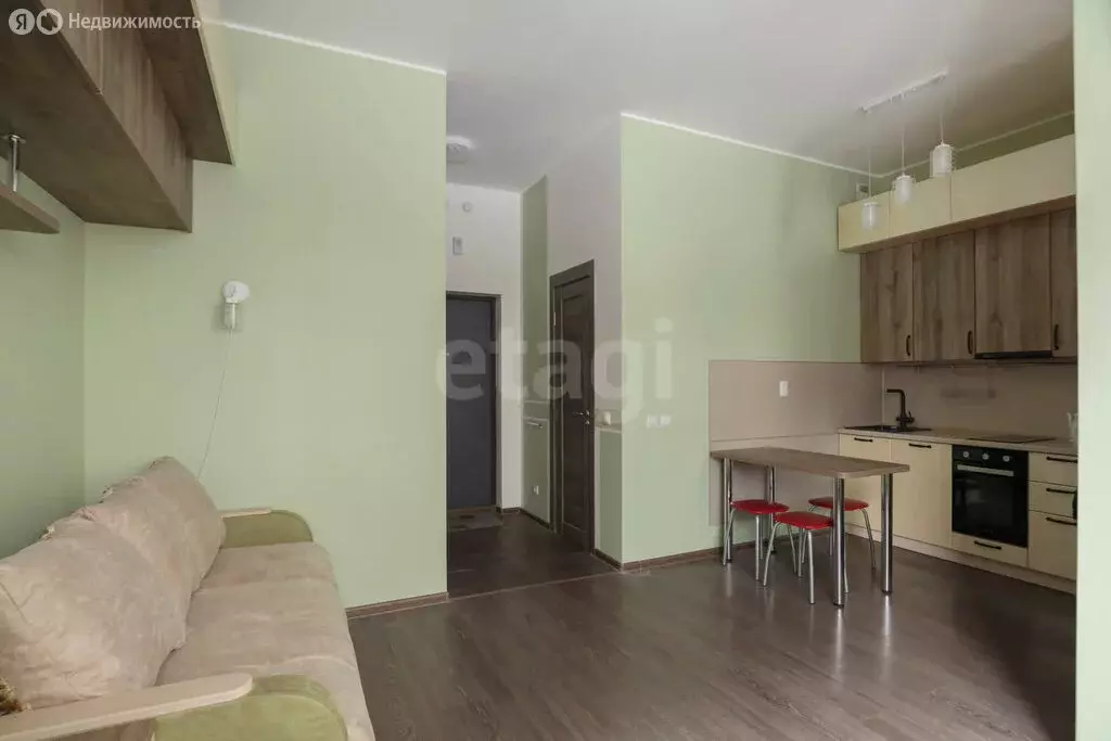 Квартира-студия: Мурино, Ручьёвский проспект, 13 (24.2 м) - Фото 2