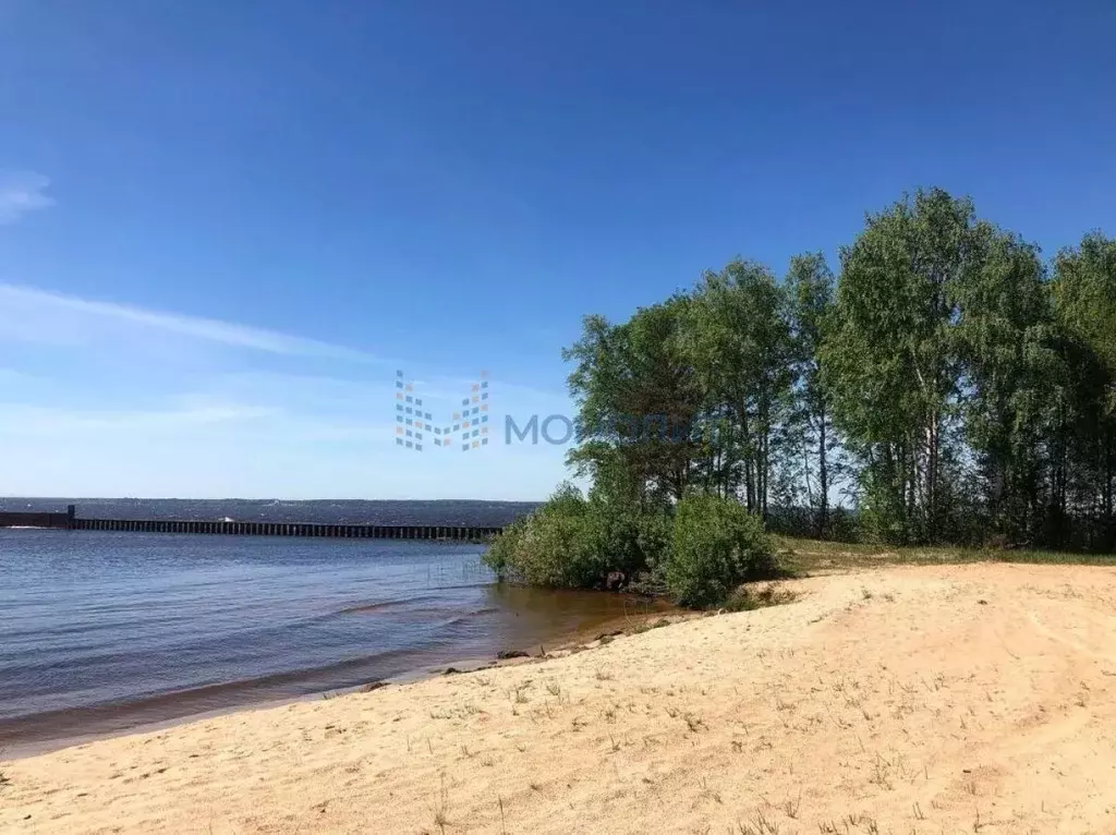 Участок в Нижегородская область, Городецкий муниципальный округ, д. ... - Фото 2