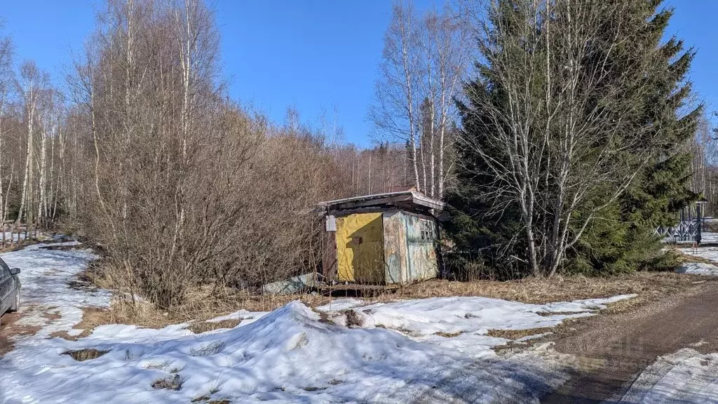 Участок в Ленинградская область, Выборгский район, Советское городское ... - Фото 0