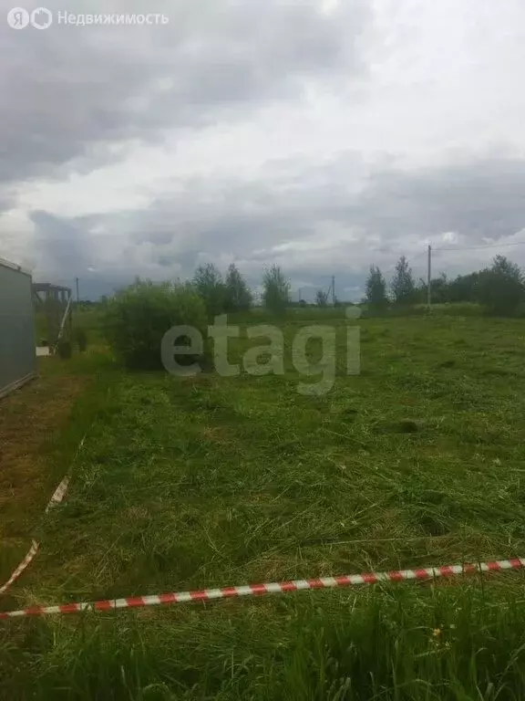 Участок в Ярославский муниципальный округ, ДНП Васильево (10 м) - Фото 2