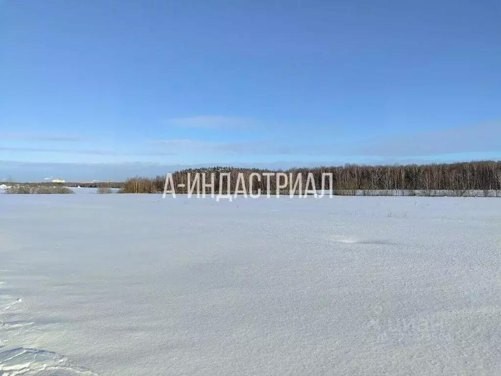 Участок в Московская область, Подольск городской округ, Василек СНТ ... - Фото 2