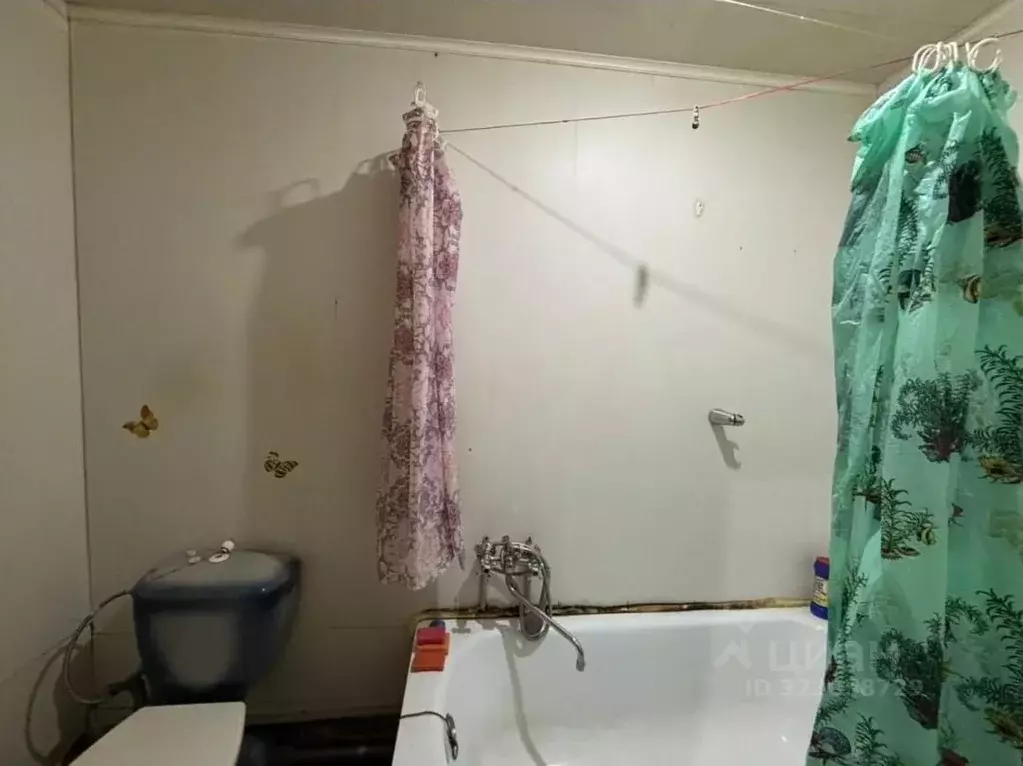 Комната Кировская область, Киров ул. Маклина, 58 (20.0 м) - Фото 1