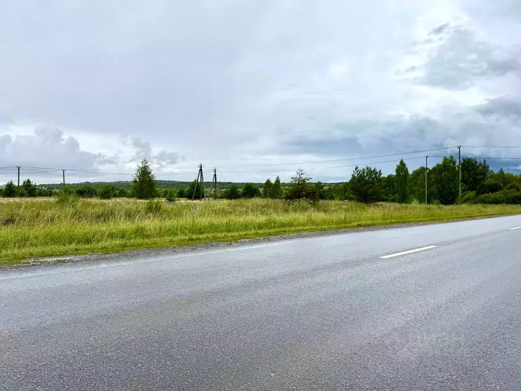 Участок в Татарстан, Пестречинский район, Богородское с/пос, д. Куюки  ... - Фото 1