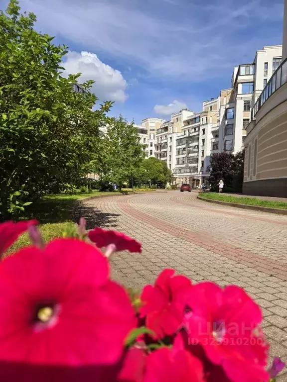 3-к кв. Санкт-Петербург Морской просп., 33 (121.7 м) - Фото 1