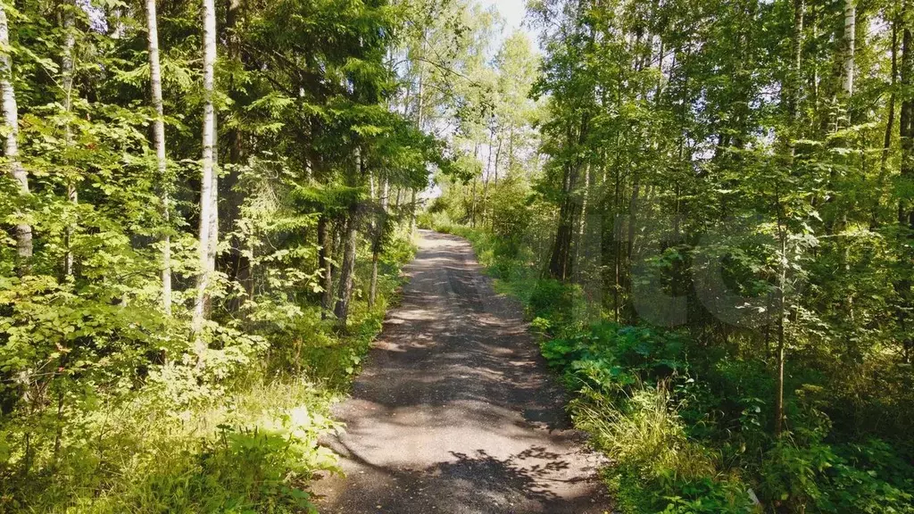 Участок 12,2 сот. (ИЖС) - Фото 1