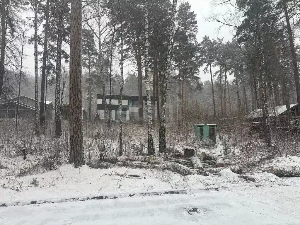 Участок в Новосибирская область, Новосибирск Лесной Берег тер., 25 ... - Фото 1