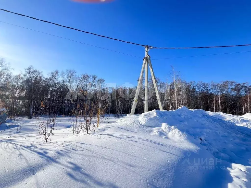 Участок в Новосибирская область, Новосибирский район, Верх-Тулинский ... - Фото 1