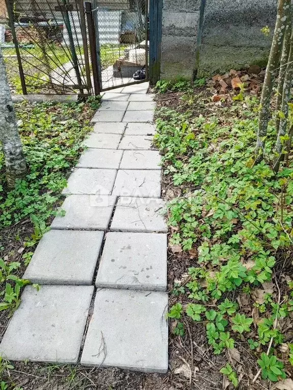Дом 52 м на участке 25 сот. - Фото 1
