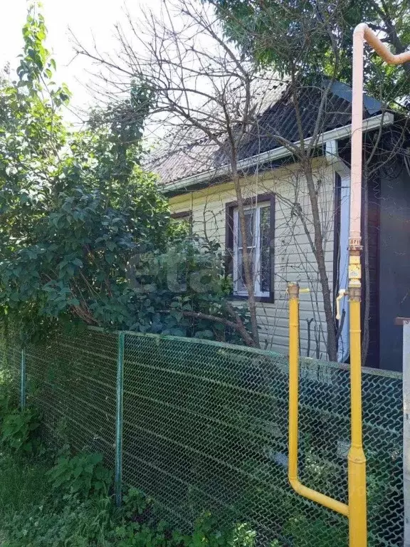 Дом в Адыгея, Майкопский район, Даховская ст-ца ул. Лесная (51 м) - Фото 1