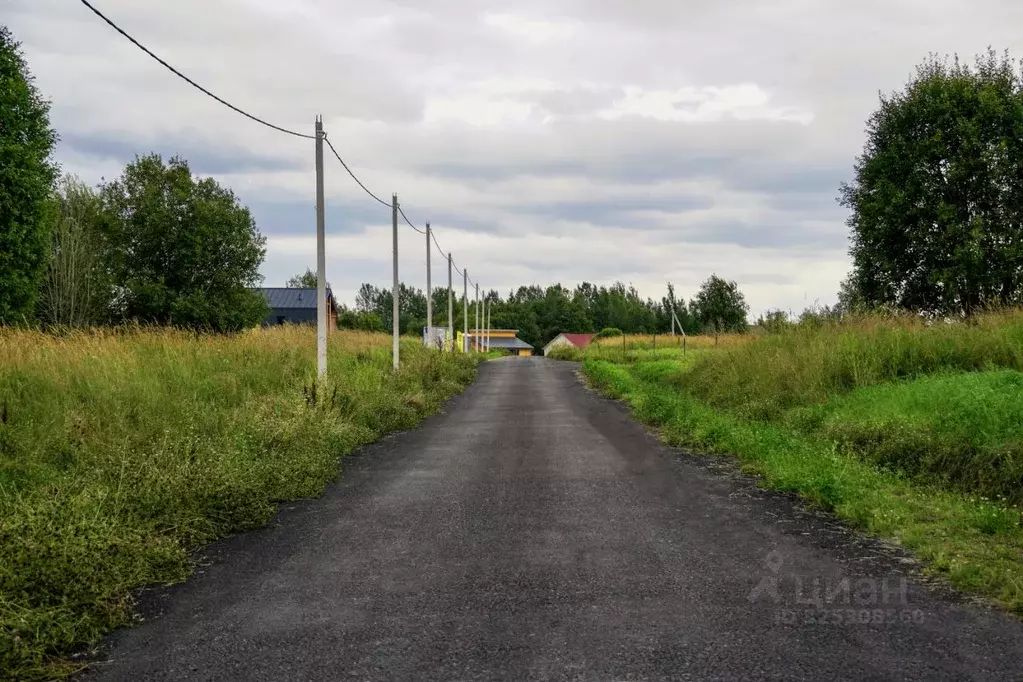 Участок в Ленинградская область, Всеволожский район, Куйвозовское ... - Фото 2