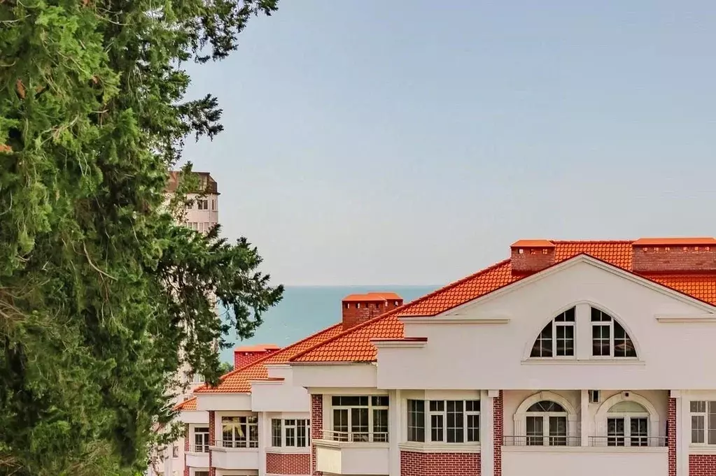 1-к кв. Краснодарский край, Сочи ул. Ленина, 290/7 (46.9 м) - Фото 1