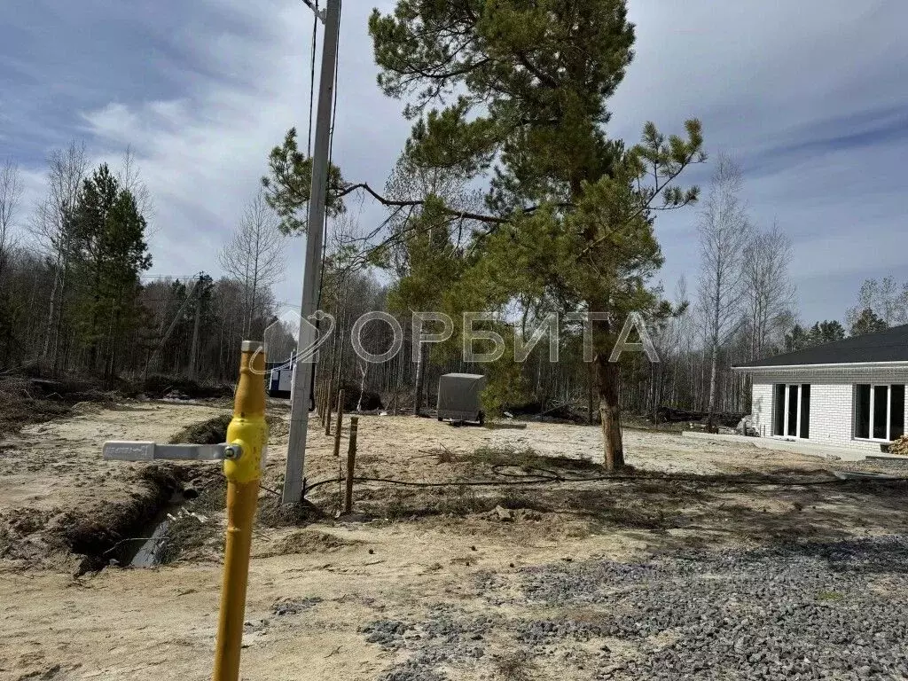 Участок в Тюменская область, Нижнетавдинский муниципальный округ, с. ... - Фото 2