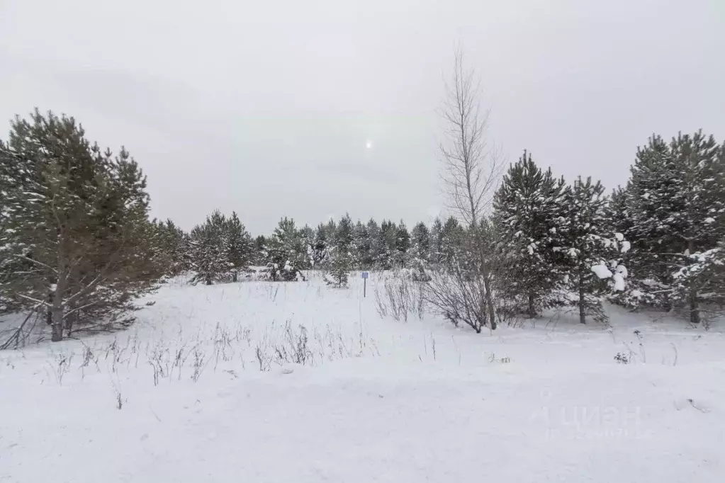 Участок в Свердловская область, Слободо-Туринский район, ... - Фото 1