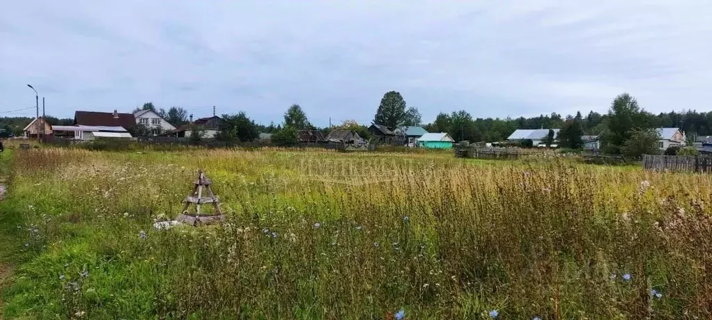 Участок в Марий Эл, Медведевский район, Нурминское с/пос, пос. Нужъялы ... - Фото 2