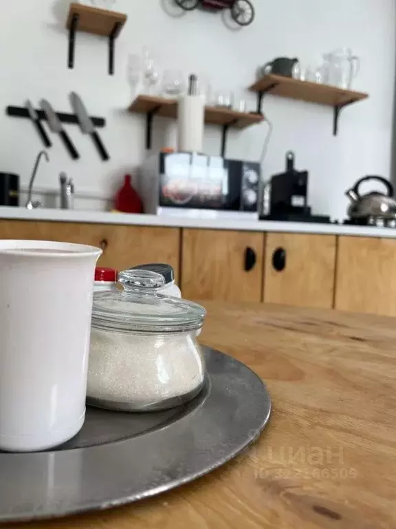 Дом в Алтай, Турочакский район, с. Артыбаш Телецкая ул., 60 (38 м) - Фото 2