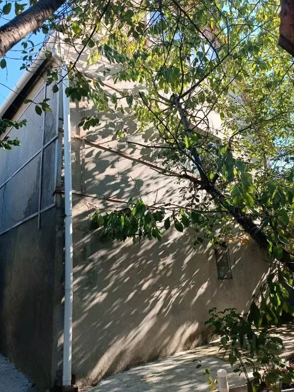 Дом в Крым, Симферопольский район, Добровское с/пос, Агрос ТСН ул. ... - Фото 2