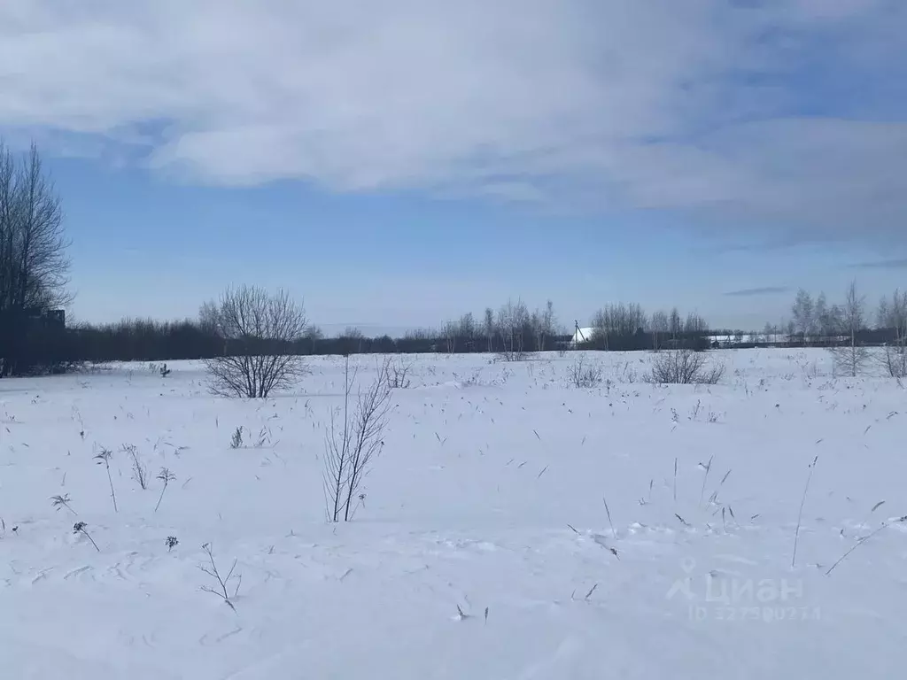 Участок в Московская область, Луховицы муниципальный округ, д. ... - Фото 1