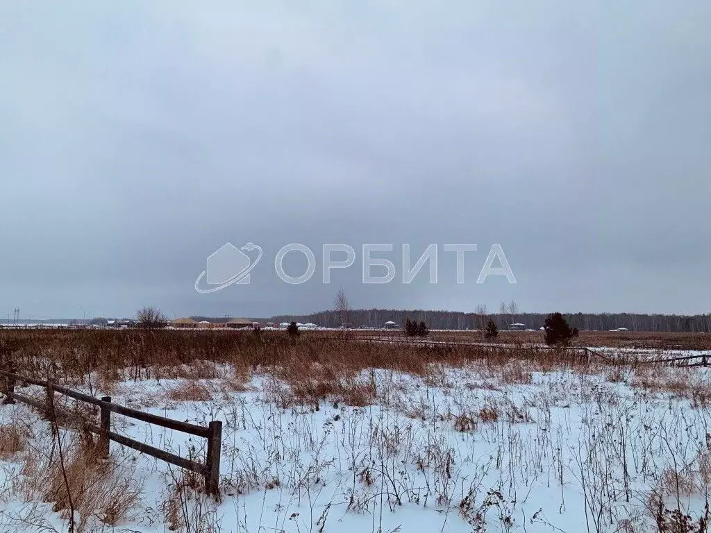 Участок в Тюменская область, Тюменский район, с. Каменка  (20.1 сот.) - Фото 2