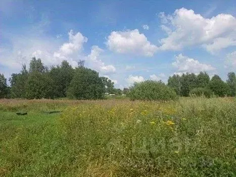 Участок в Московская область, Сергиево-Посадский городской округ, д. ... - Фото 2