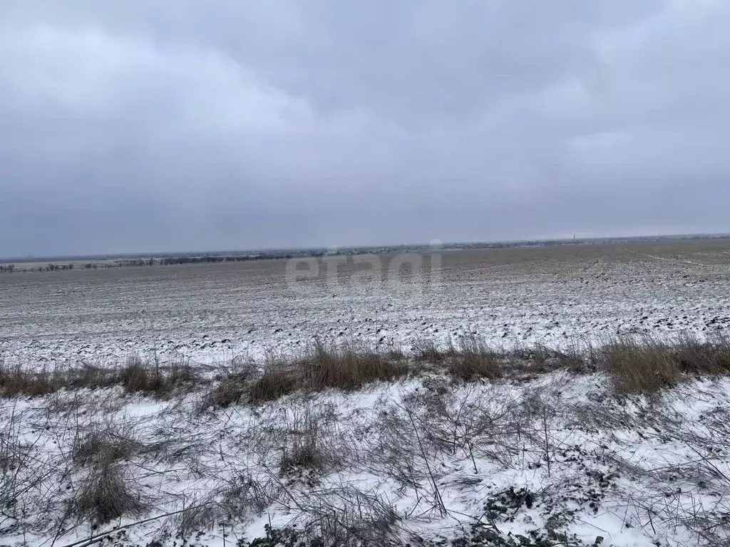 Участок в Крым, Советский район, с. Ильичево ул. Садовая (748.24 сот.) - Фото 1