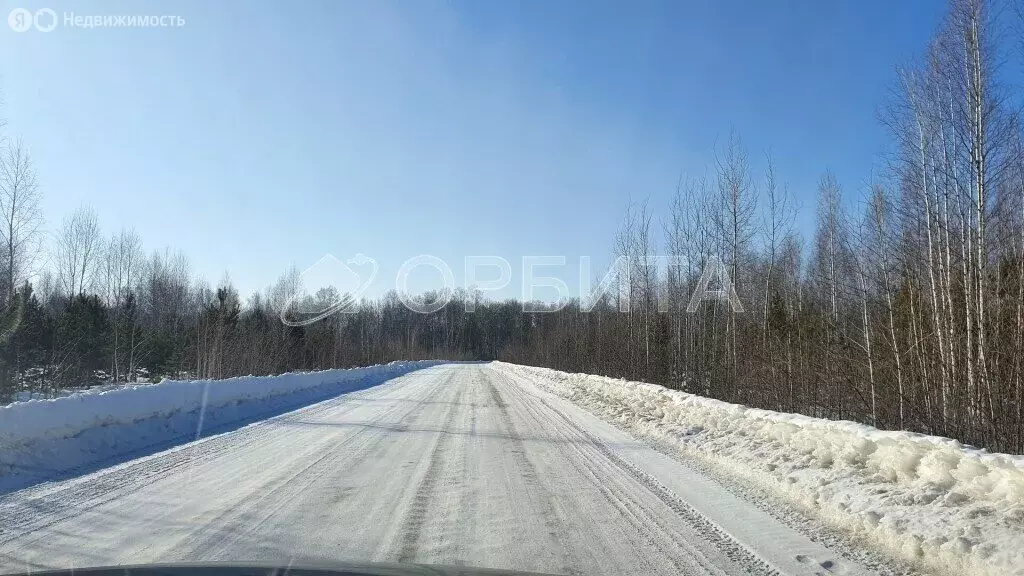 Участок в Тюменский район, СНТ Лесник-2 (13.7 м) - Фото 1