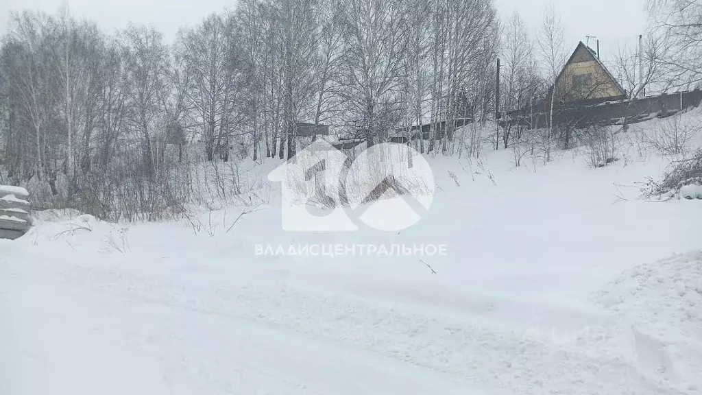 Участок в Новосибирская область, Новосибирский район, Каменский ... - Фото 1