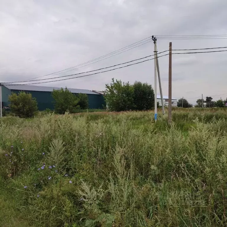 Участок в Московская область, Павлово-Посадский городской округ, д. ... - Фото 1